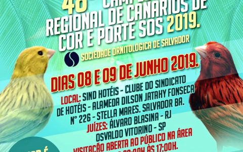 Imagem do post 48° Exposição de Canários de Cor e Porte
