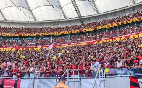 Imagem do post Vitória recebe Guarani na volta ao estádio Arena Fonte Nova