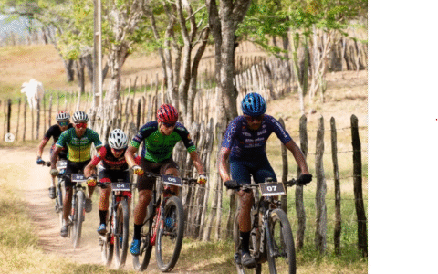 Imagem do post Desafio Arara de Lear reúne 340 ciclistas em Euclides da Cunha e destaca preservação da ave símbolo da caatinga