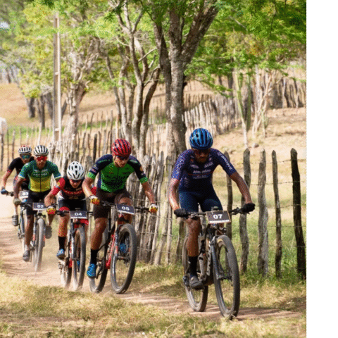 Imagem do post Desafio Arara de Lear reúne 340 ciclistas em Euclides da Cunha e destaca preservação da ave símbolo da caatinga