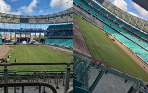 Imagem do artigo Novo gramado da Arena Fonte Nova vai ganhando forma; confira