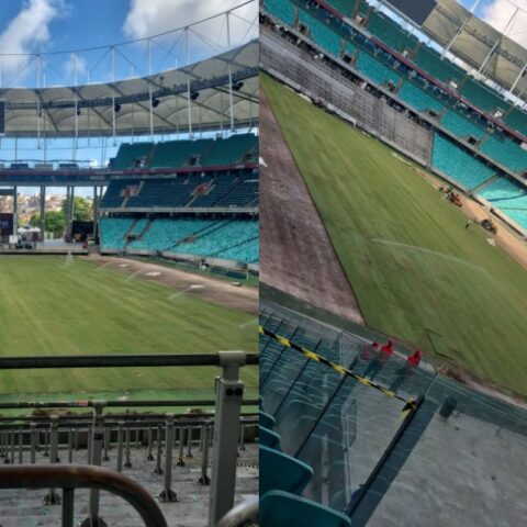 Imagem do artigo Novo gramado da Arena Fonte Nova vai ganhando forma; confira