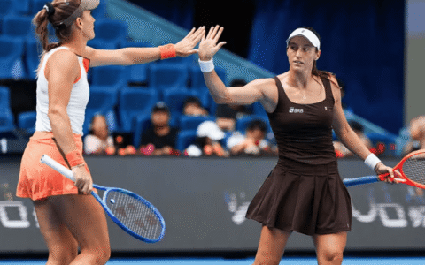 Imagem do artigo Luisa Stefani vai à final do WTA 500 e garante vaga no WTA Finals