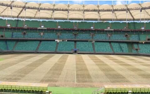 Imagem do artigo Bahia x Flamengo: Fonte Nova divulga informações e garante boas condições do gramado