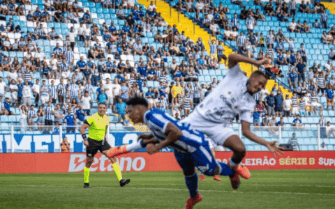 Imagem do artigo Racismo e Xenofobia: Torcedora do Avaí vira alvo do MP