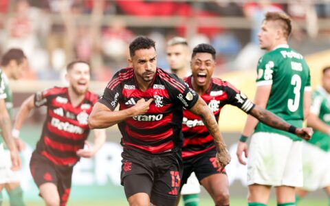 Imagem do artigo Saiba do que o Flamengo precisa para conquistar o Brasileirão nesta quarta (3)