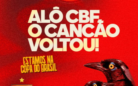 Imagem do artigo Juazeirense celebra vaga na Copa do Brasil com triunfo do Vitória