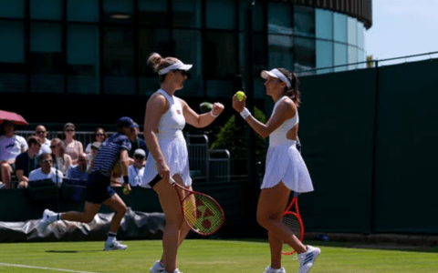 Imagem do artigo Luisa Stefani alcança melhor ranking da carreira após vice em Wimbledon