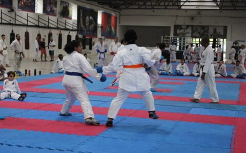 Imagem do artigo Meninas podem se inscrever em aulas gratuitas de artes marciais e canoagem na Bahia