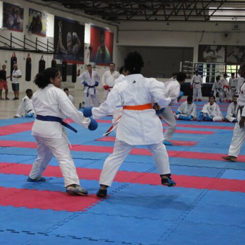 Imagem do artigo Meninas podem se inscrever em aulas gratuitas de artes marciais e canoagem na Bahia